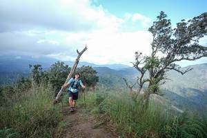 BIB: 
                            <button type="button" onclick="openModal(22372871)" class="btn btn-primary btn-sm float-right btn-popup" data-toggle="modal" data-target=".modal-high-quality">
                        <i class="fas fa-shopping-cart"></i> Add to Cart
                    </button>
                                            <button type="button" onclick="isThisMe(22372871, true)" class="btn btn-success btn-sm float-right btn-popup btn-isme hidden" data-toggle="tooltip" data-placement="bottom" title="นี่คือรูปของคุณใช่ไหม คลิกที่นี่เพื่อเอาเข้าอัลบั้ม">
                        <i class="fas fa-plus"></i> Add to album
                    </button>
                    <button type="button" onclick="isThisMe(22372871, false)" class="btn btn-warning btn-sm float-right btn-popup btn-isnotme hidden">
                        <i class="fas fa-ban"></i> Remove from album
                    </button>